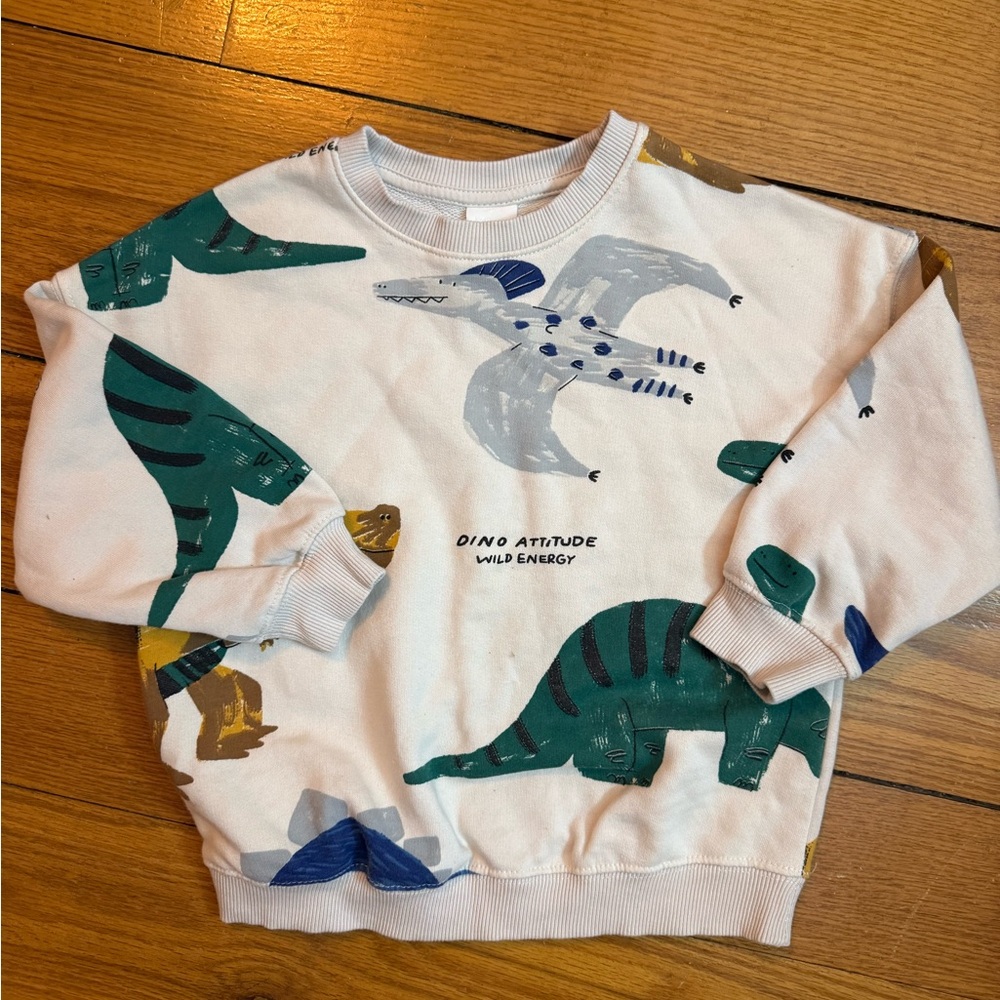 Kids Dino Print Sweatshirt - White with Green & Blue Dinosaurs